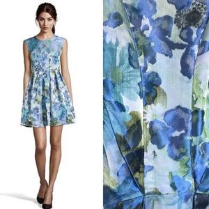 Blue Jacquard Fit-n-Flare ABS Allen Schwartz sz 8